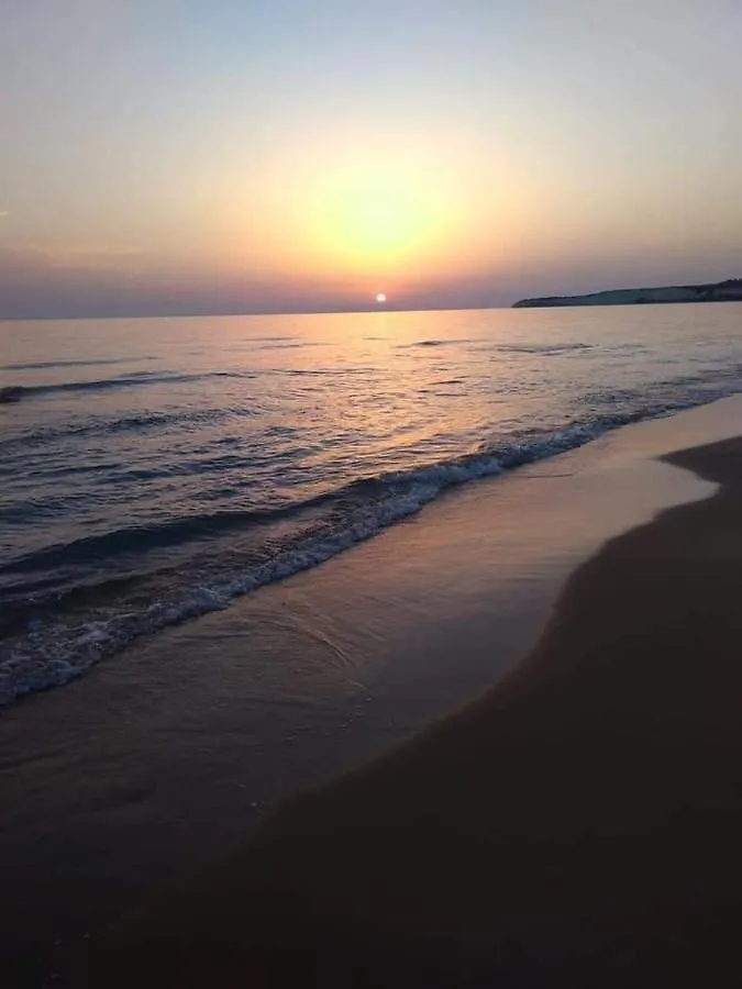 Holiday home Villa Palma Vacanze