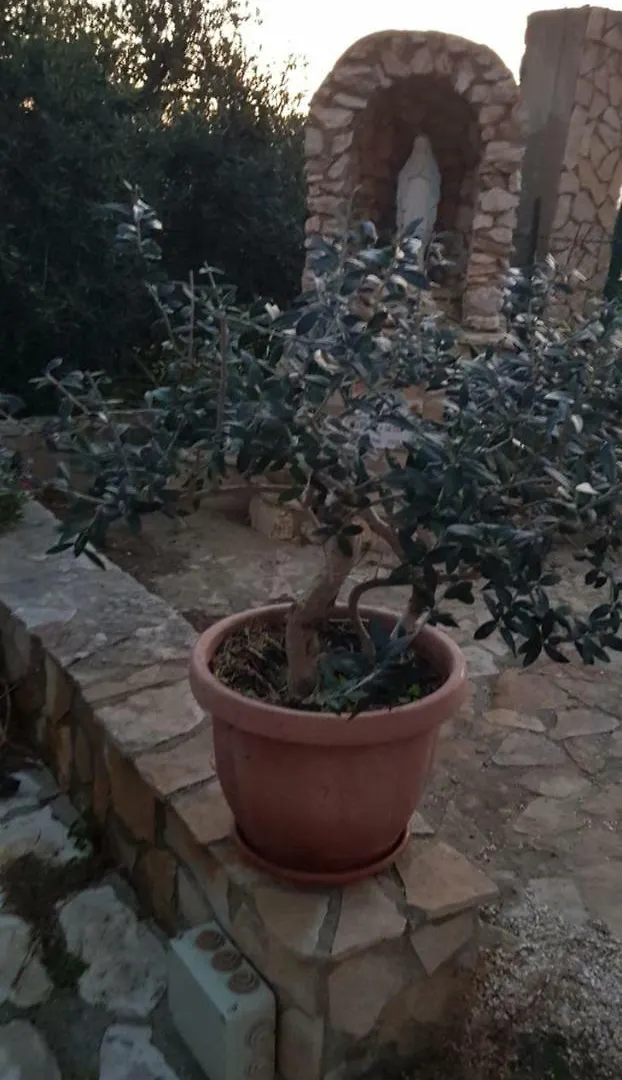 Villa Palma Vacanze Italy